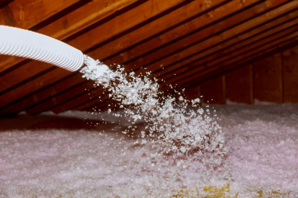 Best Geographic-Specific Insulation Services in Chattanoo Valley, GA