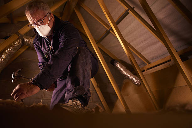Best Eco-Friendly Insulation in Chattanoo Valley, GA